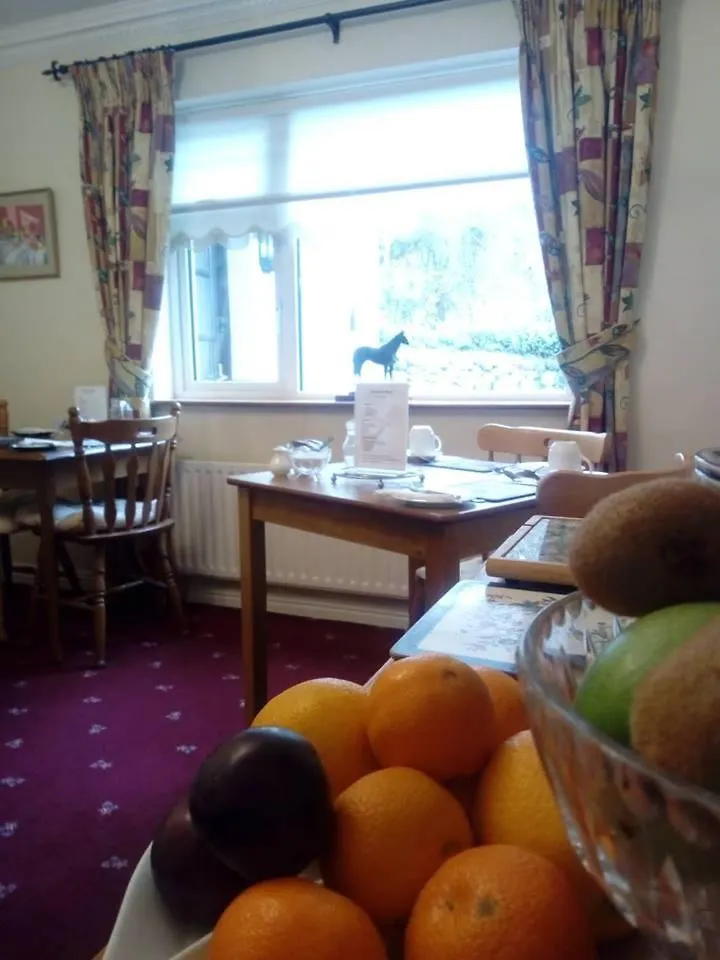 Corrib View Guesthouse H91Rr72 Galway Guest house